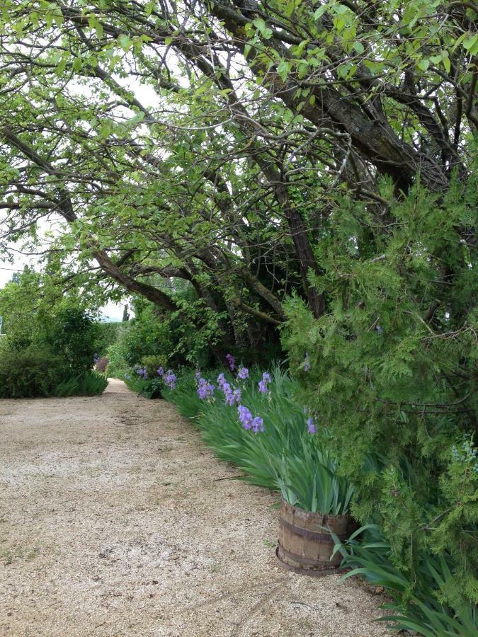 B&B Chambre De Julie Le Jardin Vaison-la-Romaine Exteriér fotografie